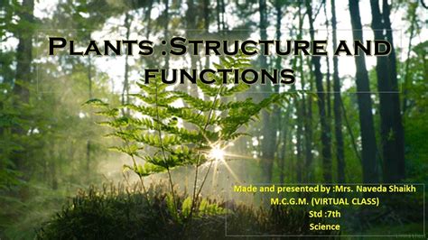 Plants Structure And Functions Part 1 Std 7th Sciencessc Maharashtra