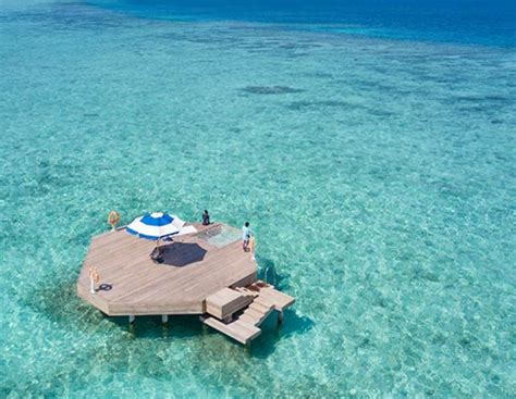 House Reef Maldives Complete Blog