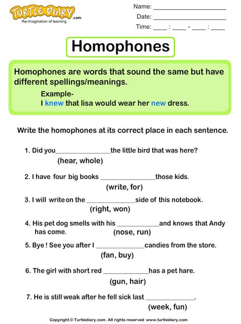 Choose The Correct Homophone In Each Sentence Turtle Diary Worksheet