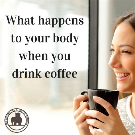 what happens to your body when you drink coffee the howdah tea and coffee company
