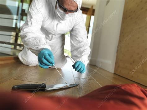 Collecting Forensic Evidence Stock Image F0056163 Science Photo