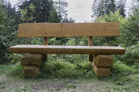 Wooden Bench In Forest Stock Photo Image Of Resting 78317640