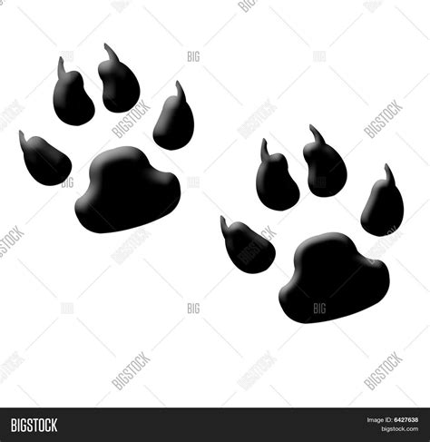 Monster Footprints Image And Photo Free Trial Bigstock