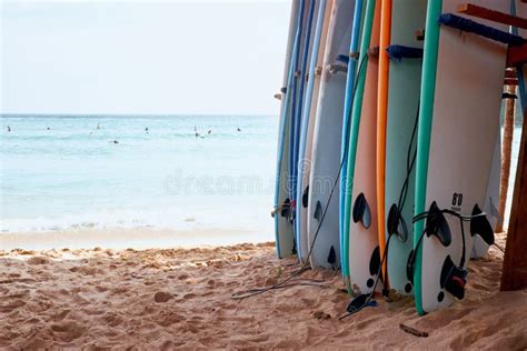 Various Surf Board On Sand Beach Ocean Background Stock Photo Image