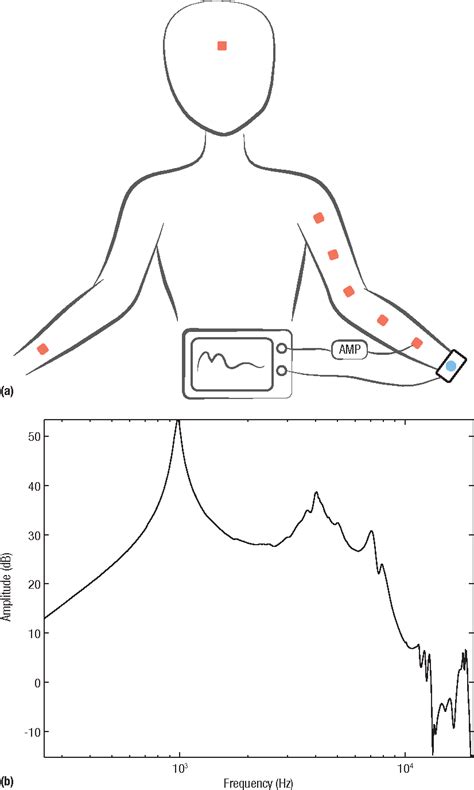 Figure 1 From Bioacoustics Based Human Body Mediated Communication