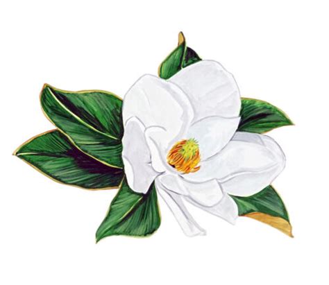 Magnolia White Blossom Mississippi Louisiana State Flower Vinyl Decal