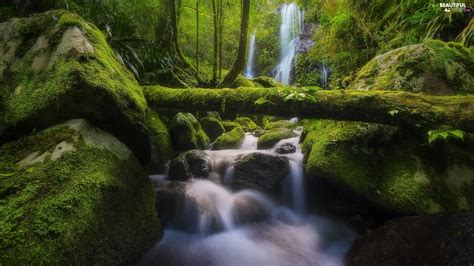 Forest Stones Moss Waterfall Beautiful Views Wallpapers 1920x1080