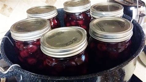 Cherry Pie Filling | Recipe | Cherry pie filling, Homemade cherry pies, Canning recipes