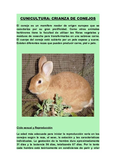 Doc Cunicultura Crianza De Conejos Cynthia Cuba