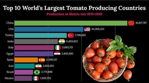 Top 10 Worlds Largest Tomato Producing Countries 1970 2019 Youtube