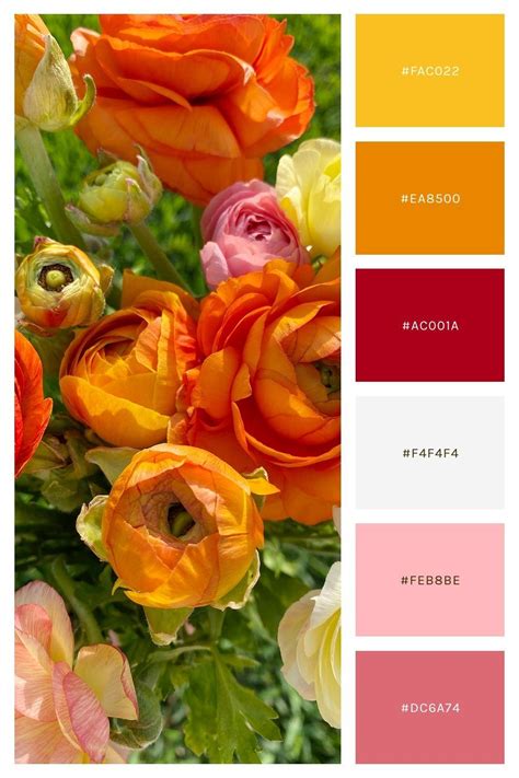 A Spring Color Palette Is Perfect For A Creative Brand That Is Clear