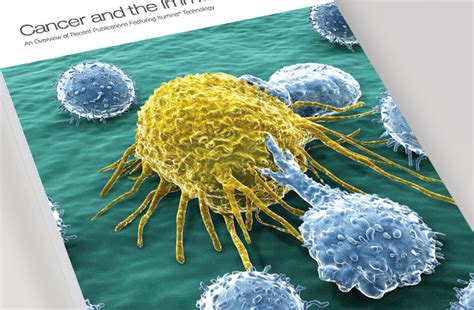 Immuno Oncology Research Cancer Immunotherapy Research Tools