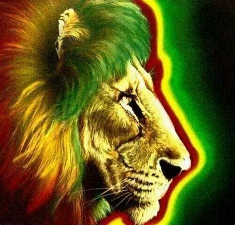 Pin By Stevie Bagley On Green Yellow Red Lion Of Judah Roots Reggae Rasta Lion