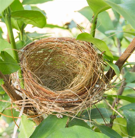 tough questions — navigating marriage with an empty nest ms christian living