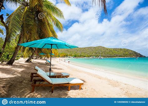 Idyllic Beach At Caribbean Stock Photo Image Of Blue 149398592