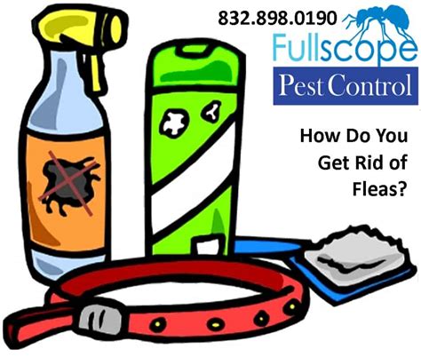 Several kinds of flea traps are available from pest control companies and pet stores. How To Get Rid of Fleas In Your New Caney Home - FullScope ...