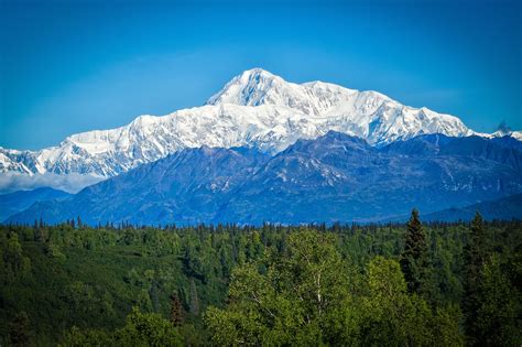 Download Alaska Mount Mckinley Denali National Park Nature Denali Hd