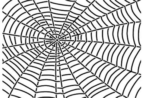 Spider Web Animation Clip Art Png 908x626px Spider Animation Area