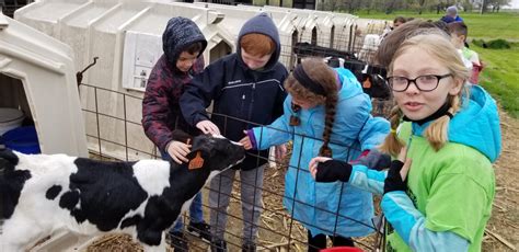 Dairy Farm Field Trips Lead To New Memories And Experiences Discover