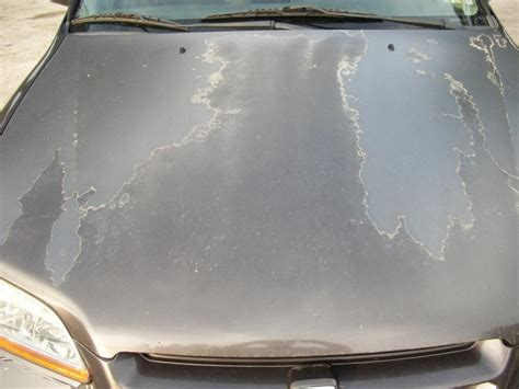 Cars made in the mid '90s often have this problem on the roof, hood. How much does it cost to fix my car's peeling clear coat ...