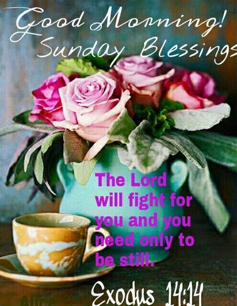 Good Morning Sunday Blessing Pictures Photos And Images For Facebook