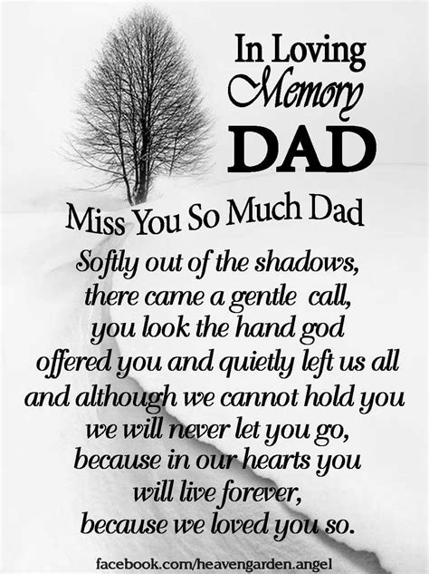 Memory Quotes For Dad Inspiration
