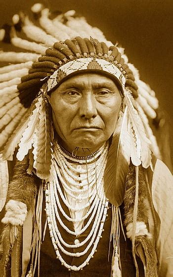 Chief Luther Standing Bear Native American American Indian Buffalo