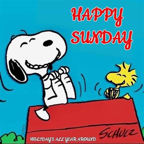 Happy Sunday Snoopy Quotes Snoopy Pictures Snoopy Funny