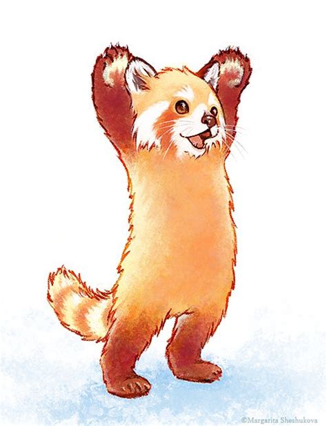 Aaah I Cant Stop To Draw Red Pandas Illustrations And Other