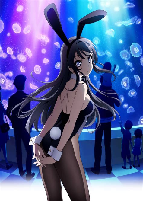 seishun buta yarou wa bunny girl senpai no yume wo minai tvmaze