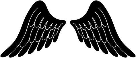 Black And White Angel Wings Focus Wiring