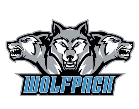 Allen Consolidated Schools Wolfpack Boys Basketball Gets 2 Wins