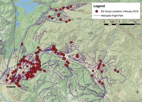 Elk Numbers Steady Winter Survey Finds Environmental