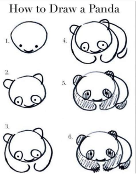 Disegnare Un Panda Drawings Panda For Kids Animal Drawings