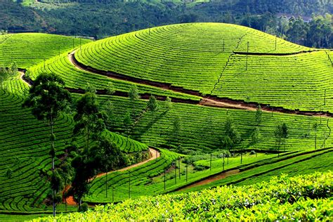 Scenic And Beautiful Kerala Sahapathika