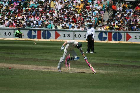 File:Pm cricket shots09 5729.jpg - Wikipedia