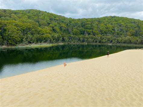 Best Fraser Island Tour From Rainbow Beach Noosa Brisbane Pippies