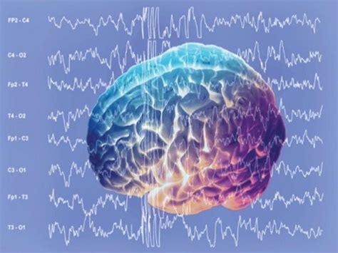 Brain Waves Help Memory Formation Lunatic Laboratories