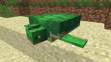 How To Breed Turtles In Minecraft Gameskinny