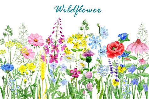Watercolor Wildflowers Clipartbouquet Of Wildflowerspng 1100740