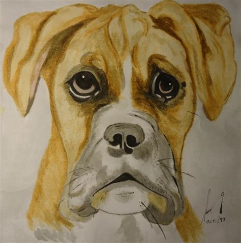 Boxer Dog By Gabriel Isaac On Deviantart