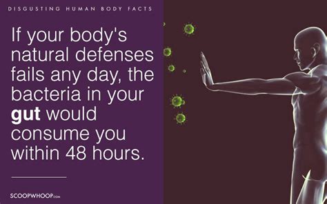 12 Weird And Disgusting Facts About Humans That Will Totally Change The
