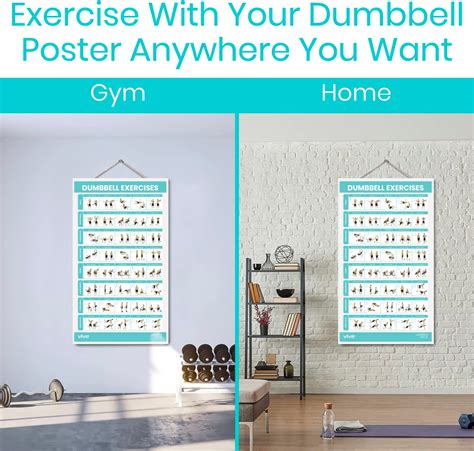 Vive Dumbbell Workout Poster Full Body Exercise Australia Ubuy