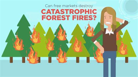 Free Markets Destroy Forest Fires A Project Of Washington Policy Center