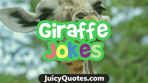 Funny Giraffe Jokes And Puns 2020 These Giraffe Jokes