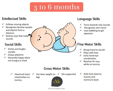 A Look At Baby Developmental Milestones With Twins At 3 To 6 Months Old