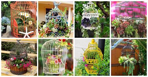 25 Best Decoration Ideas With Birdcage Planters Birdcage Planter
