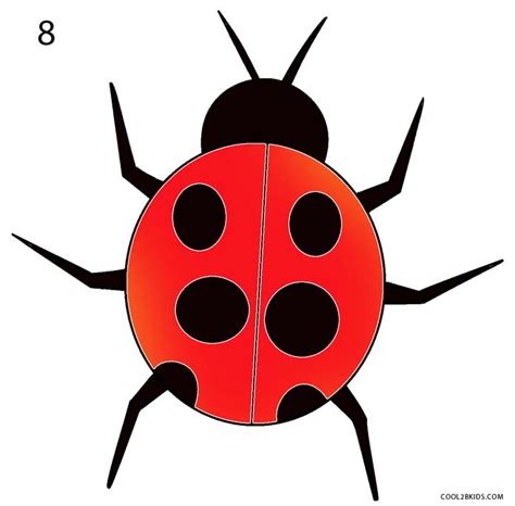 How To Draw A Ladybug Step By Step Pictures