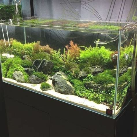 55 Wondrous Aquarium Design Ideas For Your Extraordinary Home