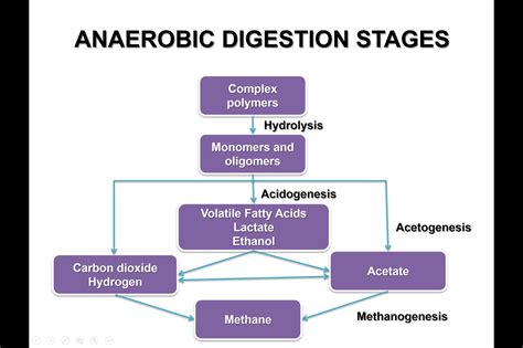 The Four Stages Of Anaerobic Digestion Treating Organics